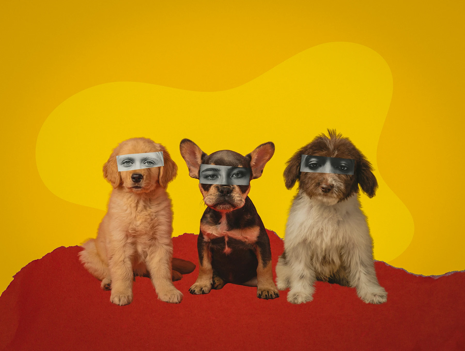 Sustainability placed at the core of growth